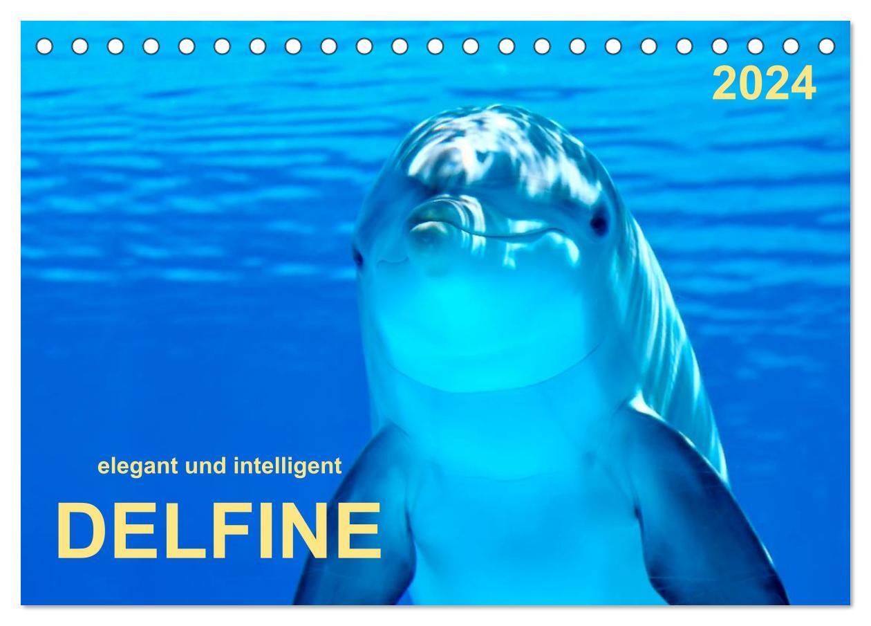 Cover: 9783675763630 | Delfine - elegant und intelligent (Tischkalender 2024 DIN A5 quer),...
