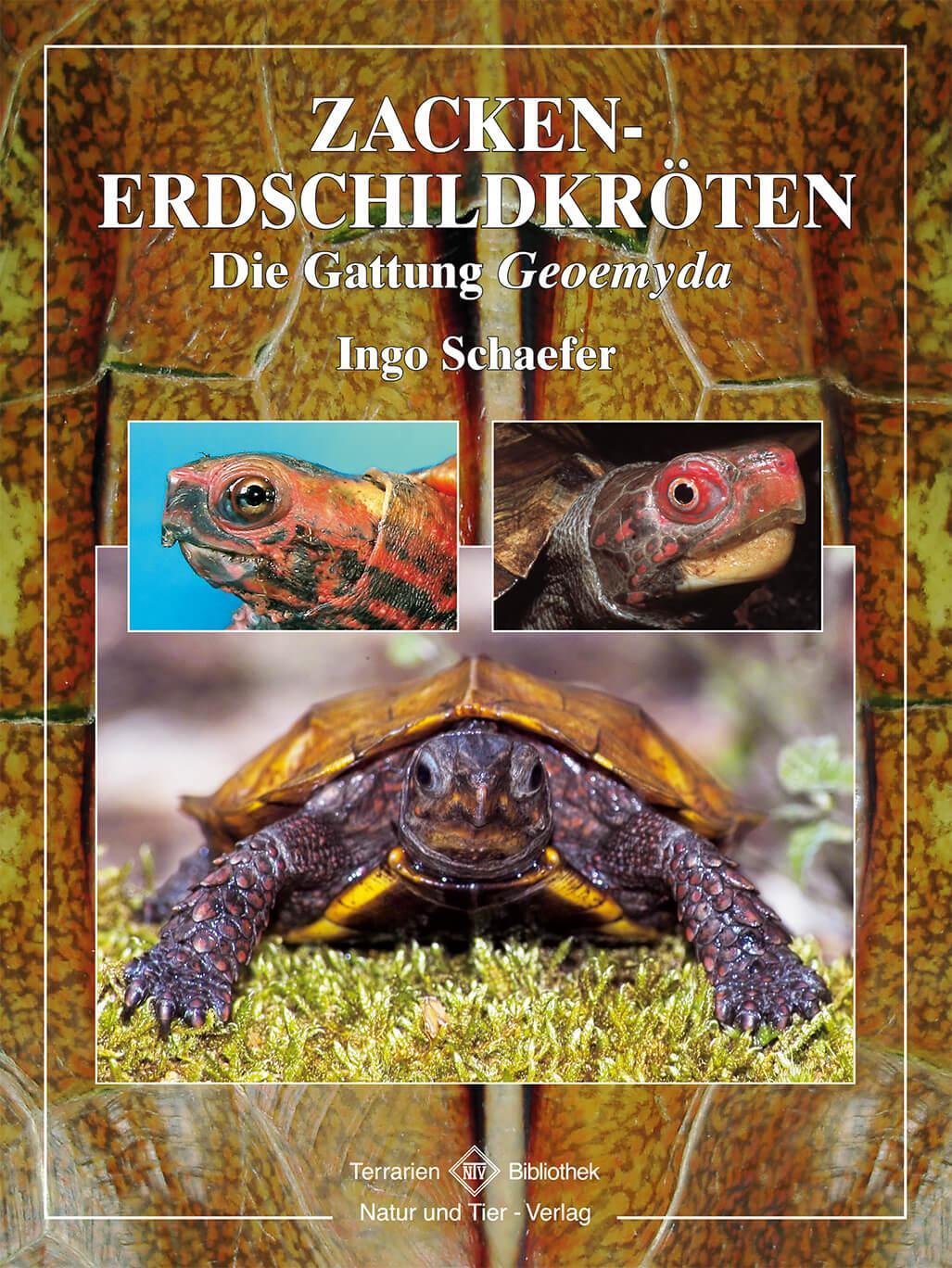 Cover: 9783937285504 | Zacken-Erdschildkröten | Ingo Schäfer | Buch | Terrarien Bibliothek