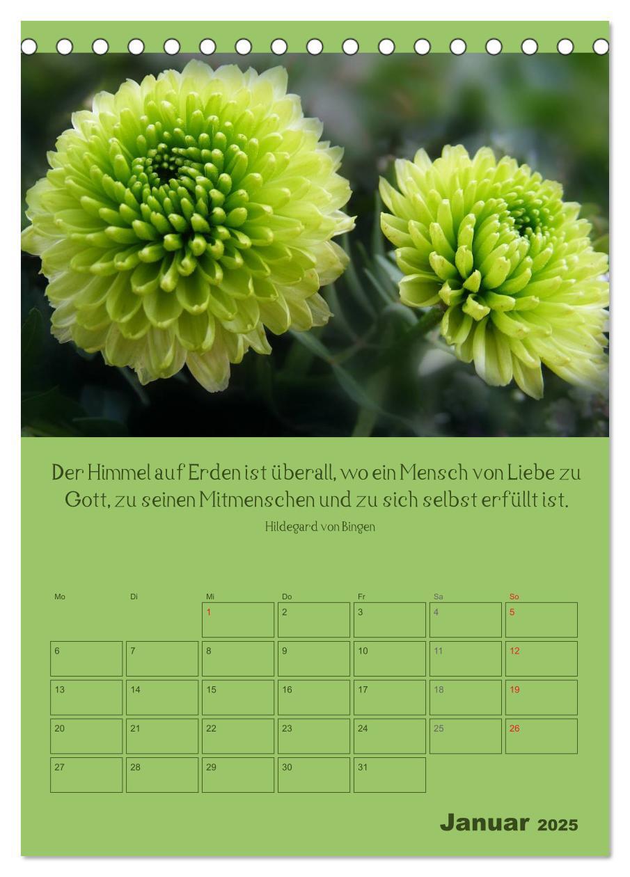 Bild: 9783457059135 | Erkenntnis und Weisheit - Hildegard von Bingen (Tischkalender 2025...