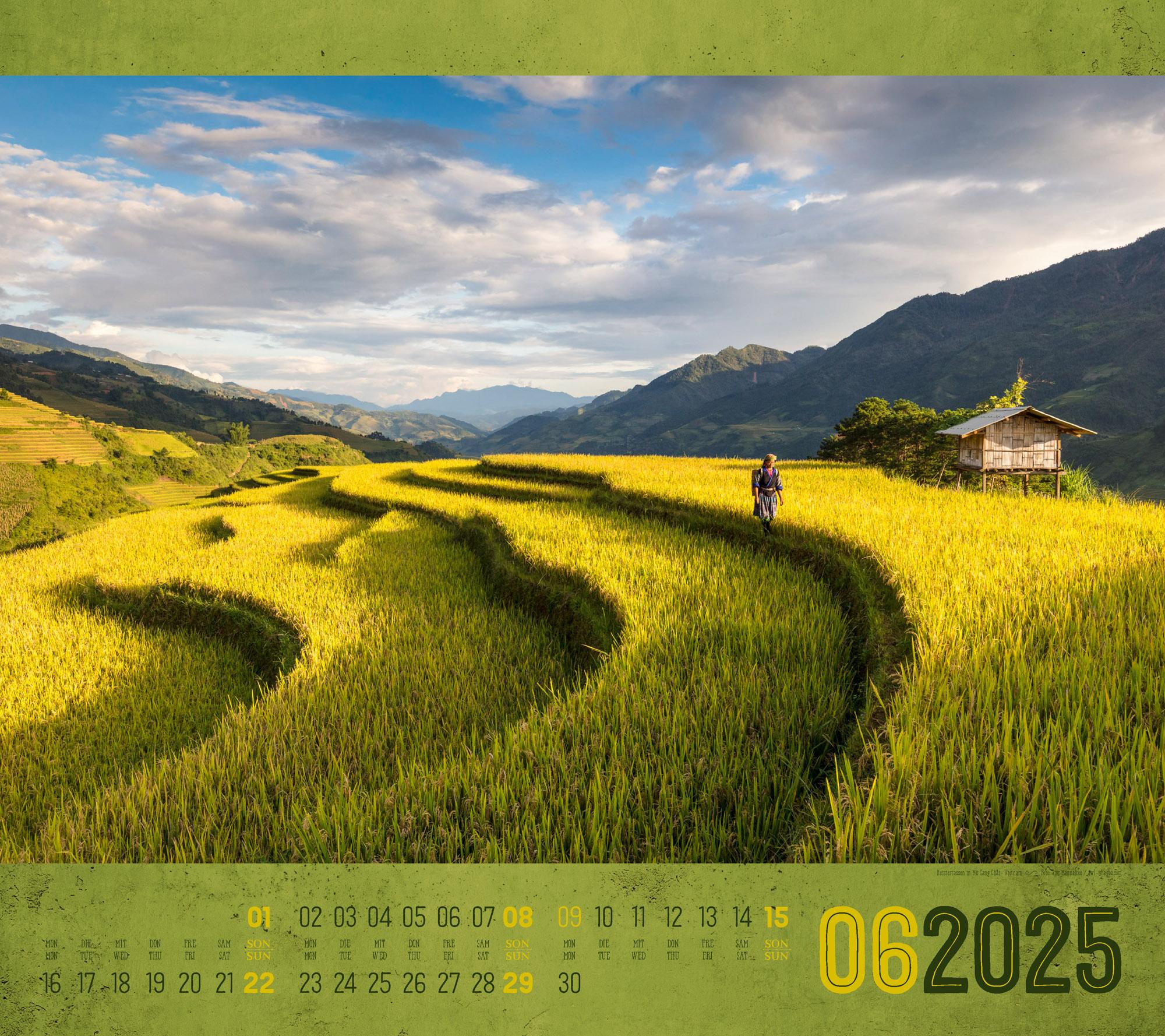 Bild: 9783838425139 | World of Food - Kulinarische Weltreise Kalender 2025 | Kunstverlag