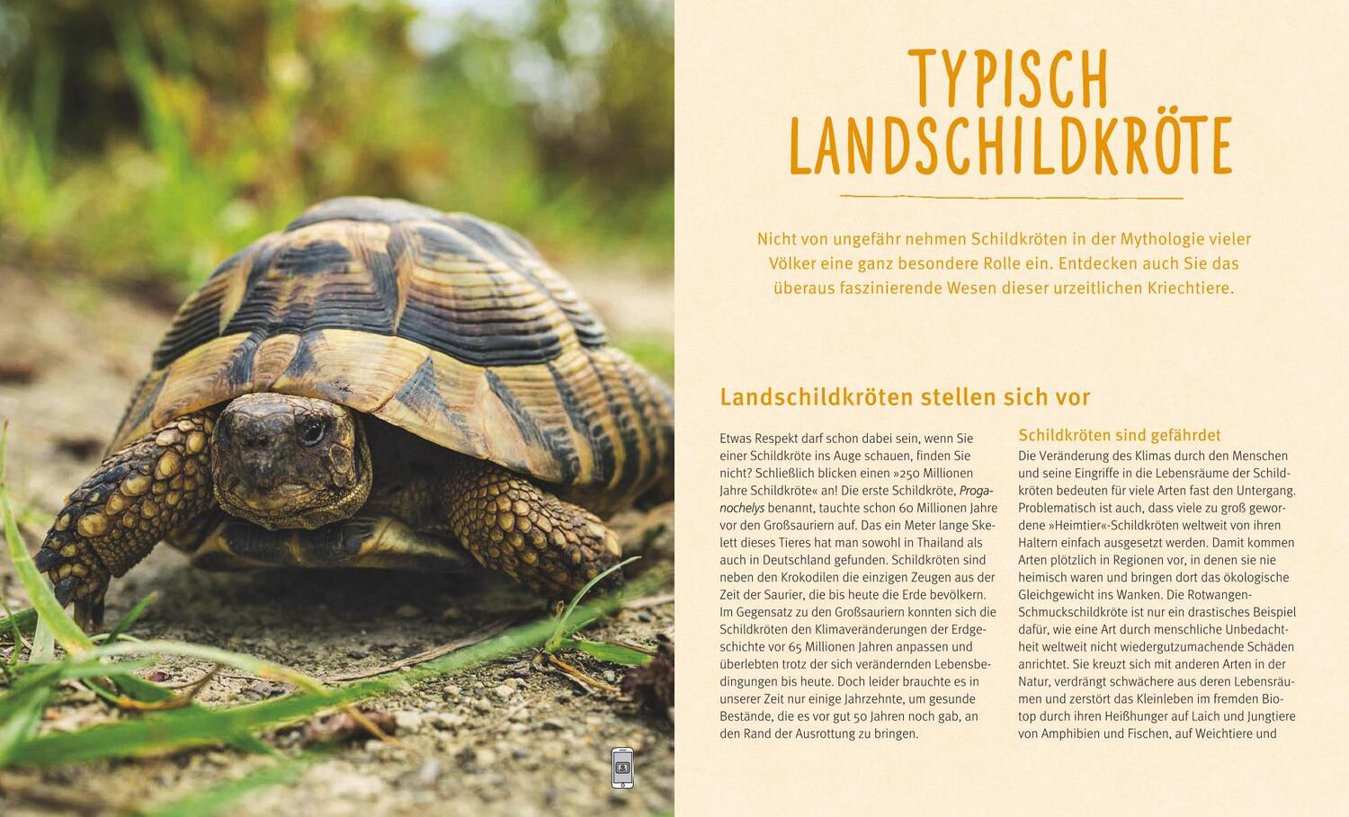 Bild: 9783833841484 | Landschildkröten | Fit und gesund durchs Leben | Hartmut Wilke | Buch