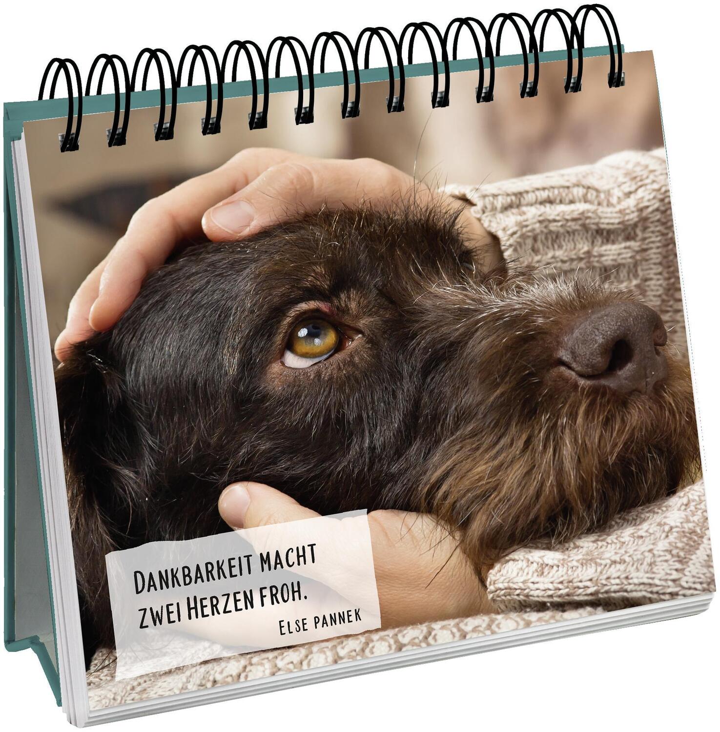 Bild: 9783848500482 | Für Hundefreunde | Groh Verlag | Taschenbuch | 144 S. | Deutsch | 2021