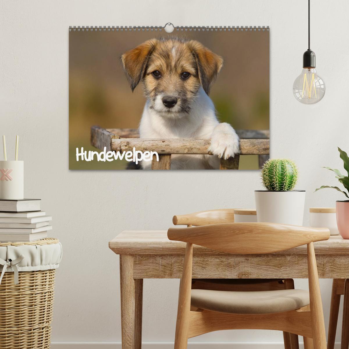 Bild: 9783435834013 | Hundewelpen (Wandkalender 2025 DIN A3 quer), CALVENDO Monatskalender