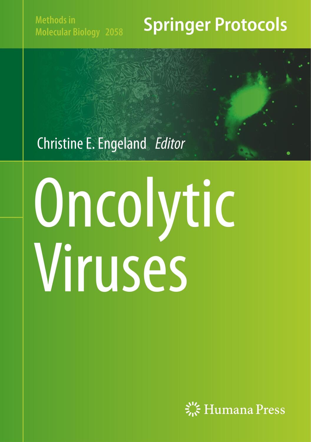 Cover: 9781493997930 | Oncolytic Viruses | Christine E. Engeland | Buch | Englisch | 2019