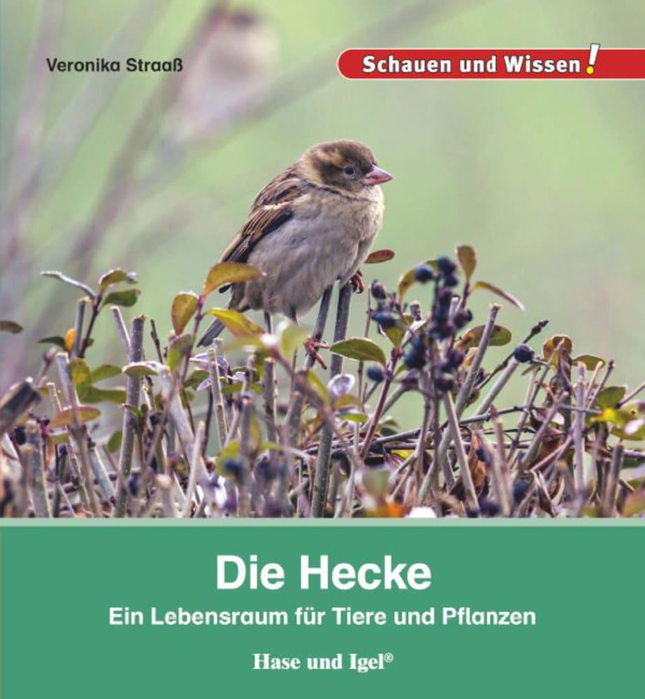 Cover: 9783867607919 | Die Hecke | Schauen und Wissen! | Veronika Straaß | Buch | 34 S.