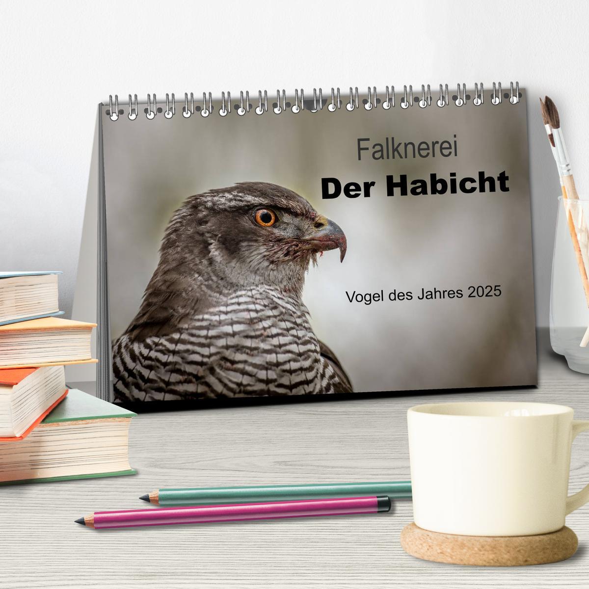 Bild: 9783435634231 | Falknerei Der Habicht (Tischkalender 2025 DIN A5 quer), CALVENDO...