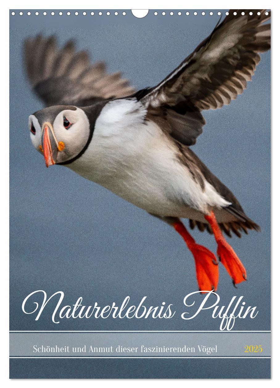 Cover: 9783435848843 | Naturerlebnis Puffin (Wandkalender 2025 DIN A3 hoch), CALVENDO...