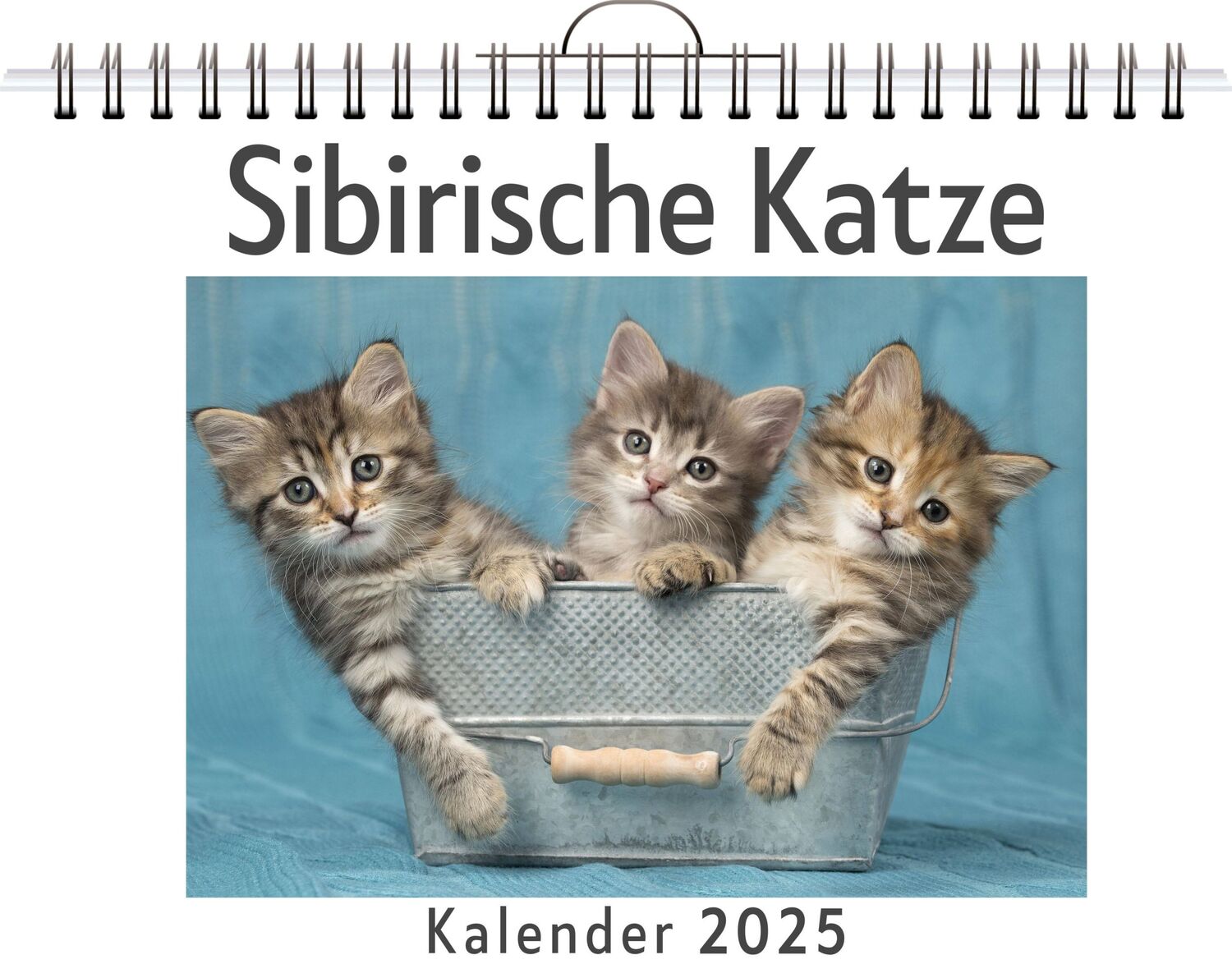 Cover: 9783759132451 | Sibirische Katze | Clara Hoffmann | Kalender | Kalender | 14 S.