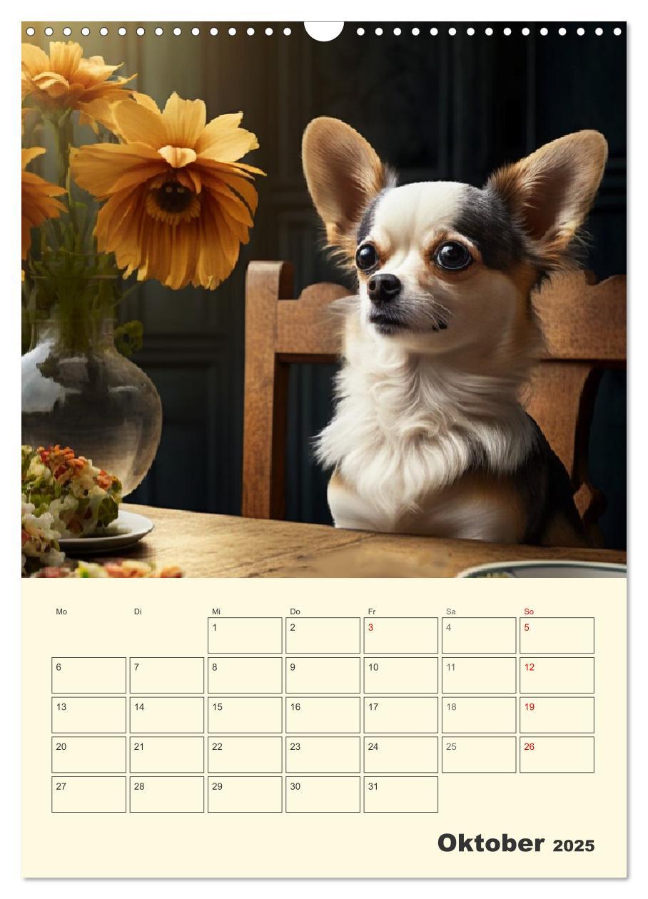 Bild: 9783435875672 | Witzige Chihuahuas. Glückliche Temperamentbündel (Wandkalender 2025...