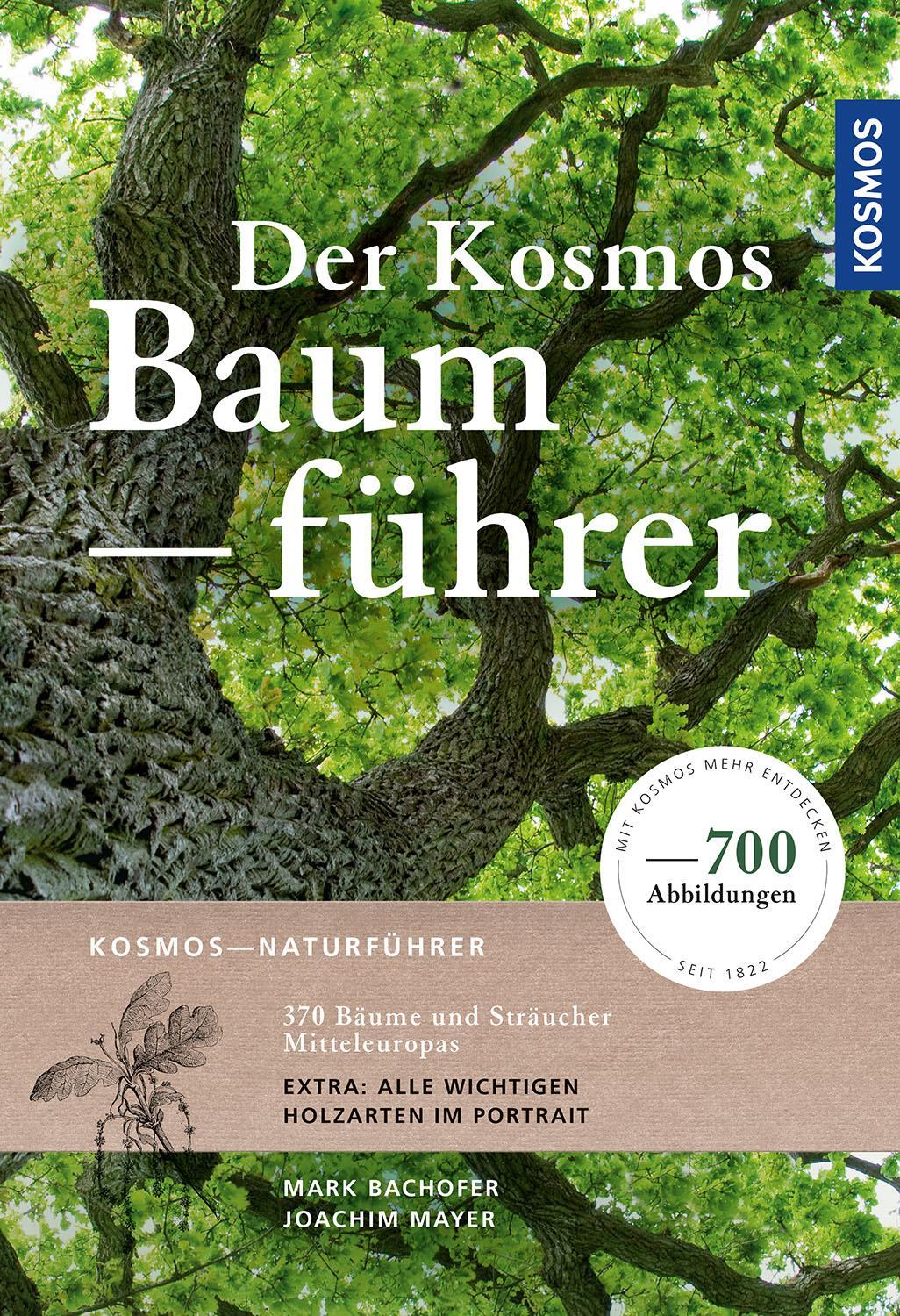 Cover: 9783440170137 | Der Kosmos-Baumführer | 370 Bäume und Sträucher Mitteleuropas | Buch