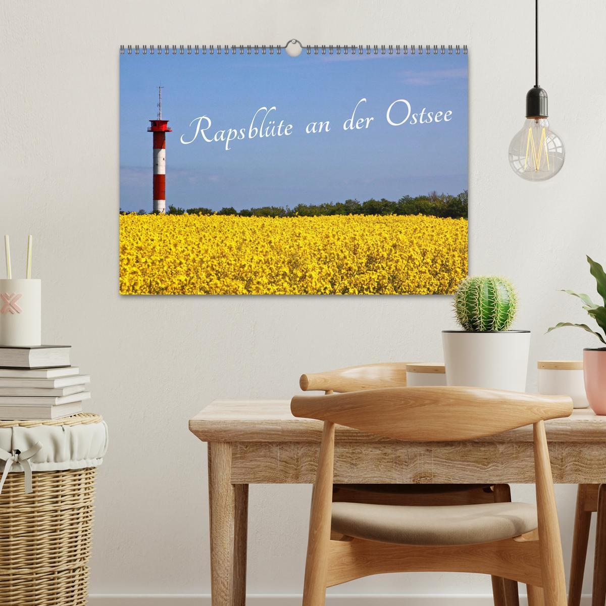 Bild: 9783435095162 | Rapsblüte an der Ostsee (Wandkalender 2025 DIN A3 quer), CALVENDO...