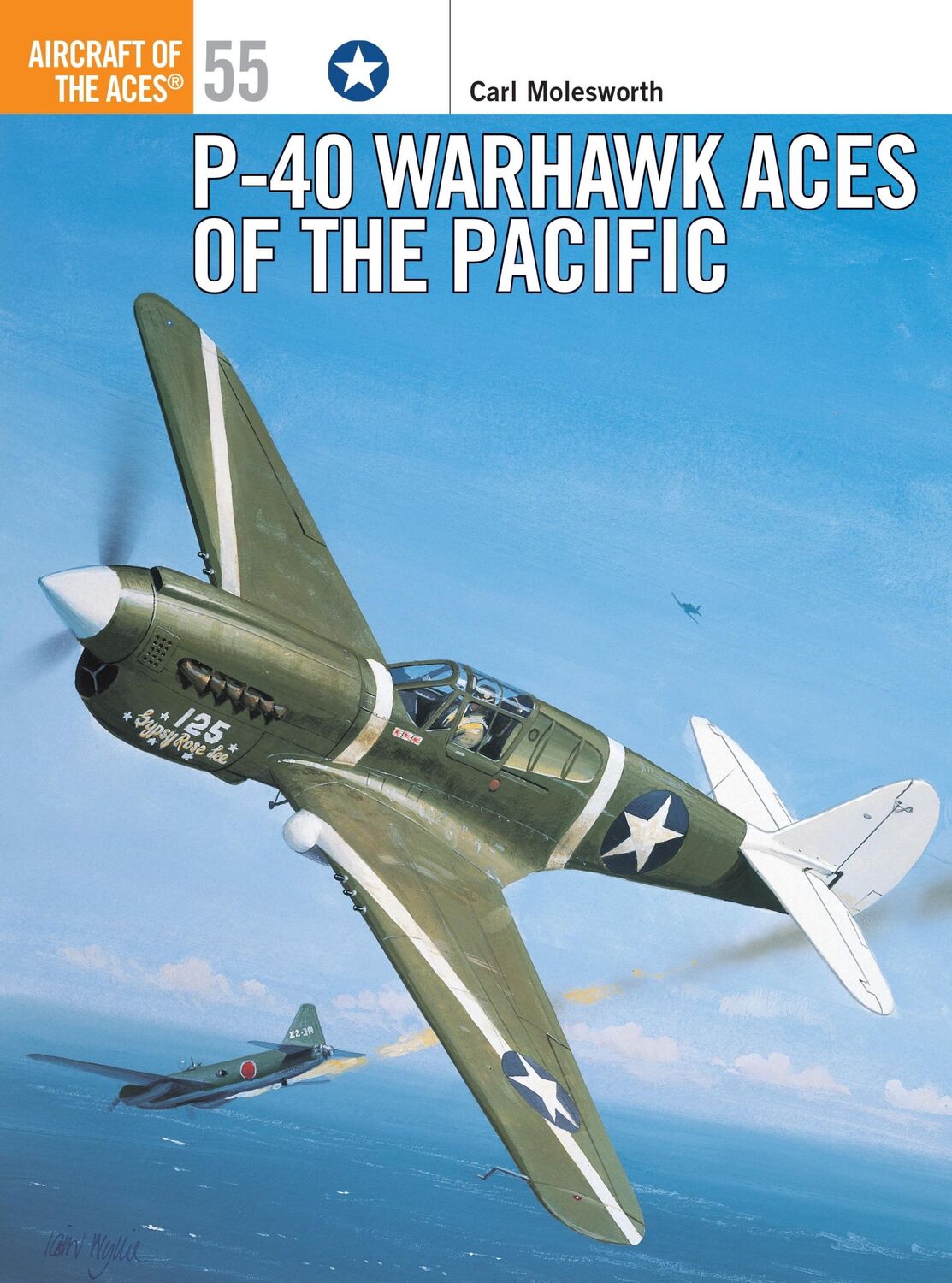 Cover: 9781841765365 | P-40 Warhawk Aces of the Pacific | Carl Molesworth | Taschenbuch