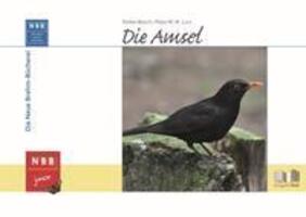 Cover: 9783894321420 | Die Amsel | Stefan Bosch (u. a.) | Buch | NBB junior | Deutsch | 2016
