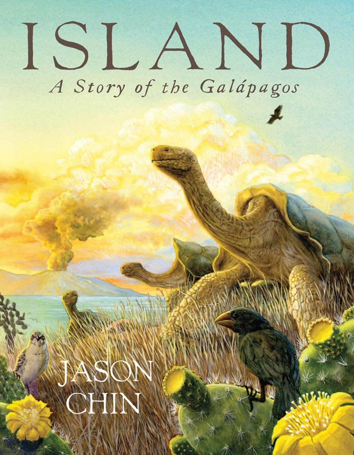 Cover: 9781250799937 | Island: A Story of the Galápagos | Jason Chin | Taschenbuch | Englisch