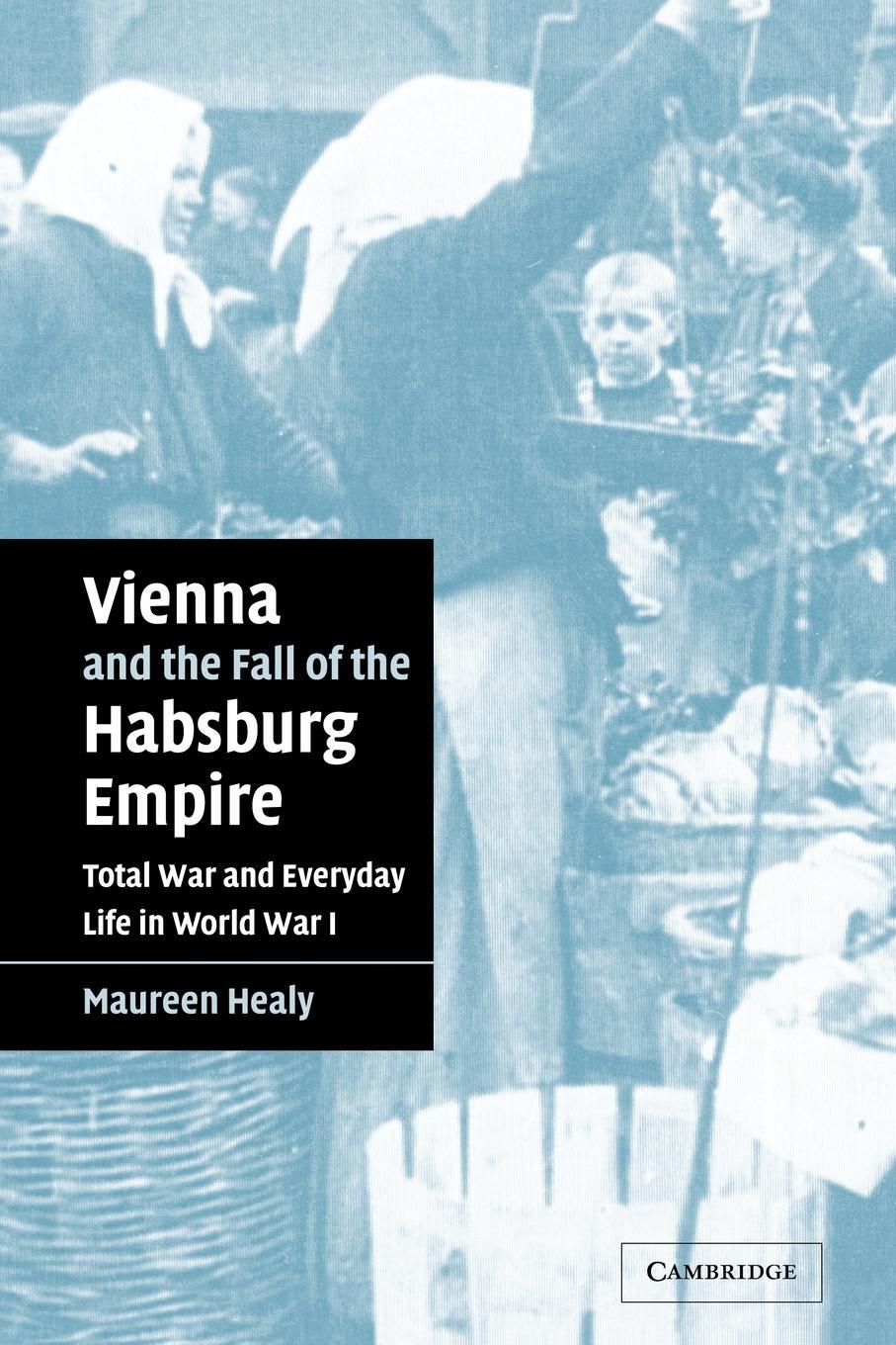Cover: 9780521042192 | Vienna and the Fall of the Habsburg Empire | Maureen Healy | Buch