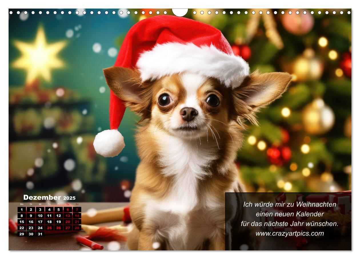 Bild: 9783457129425 | Lustige Chihuahua-Momente (Wandkalender 2025 DIN A3 quer), CALVENDO...