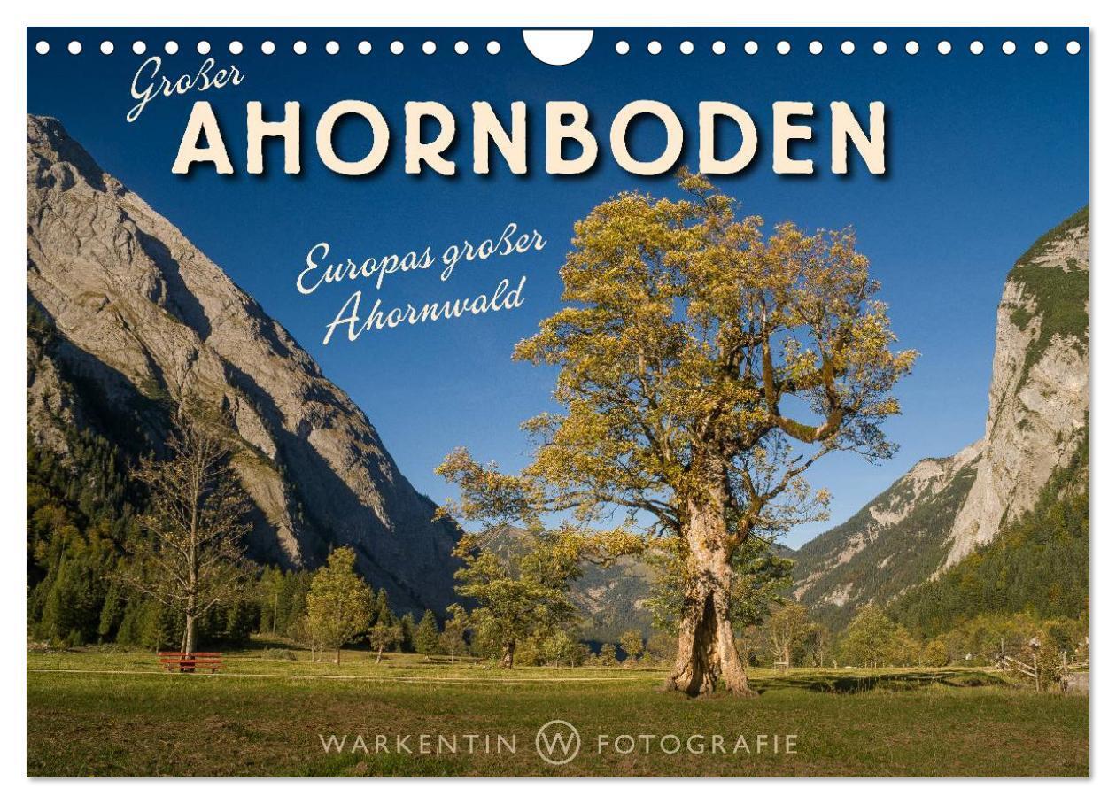 Cover: 9783383403286 | Großer Ahornboden - Europas großer Ahornwald (Wandkalender 2024 DIN...