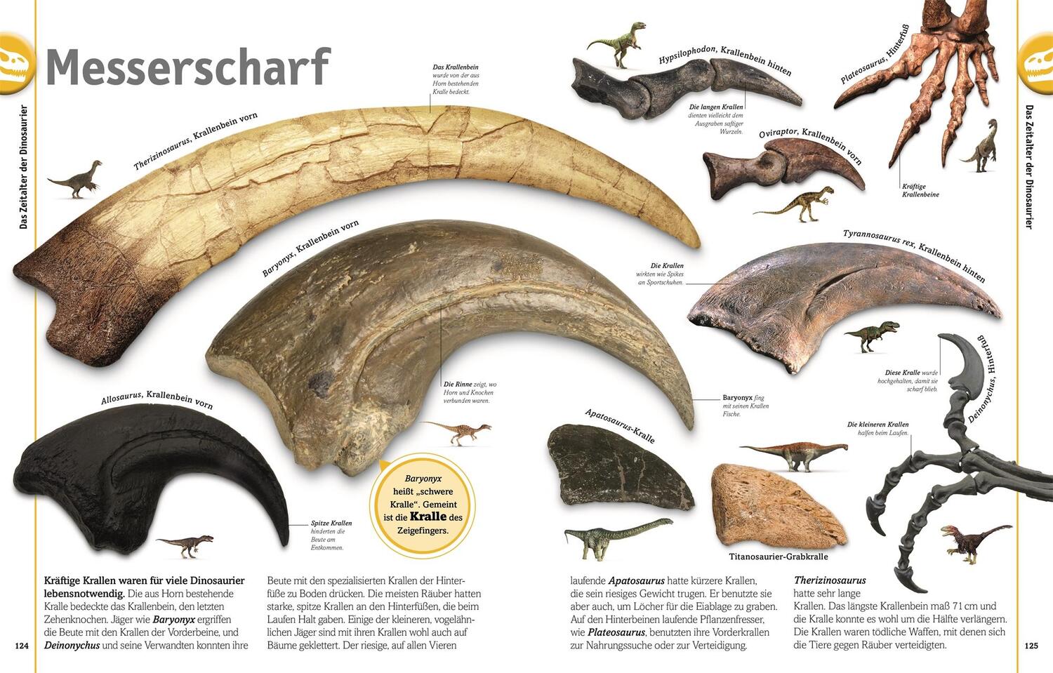 Bild: 9783831035649 | Dinosaurier | Lebewesen und Fossilien der Urzeit in über 1000 Bildern