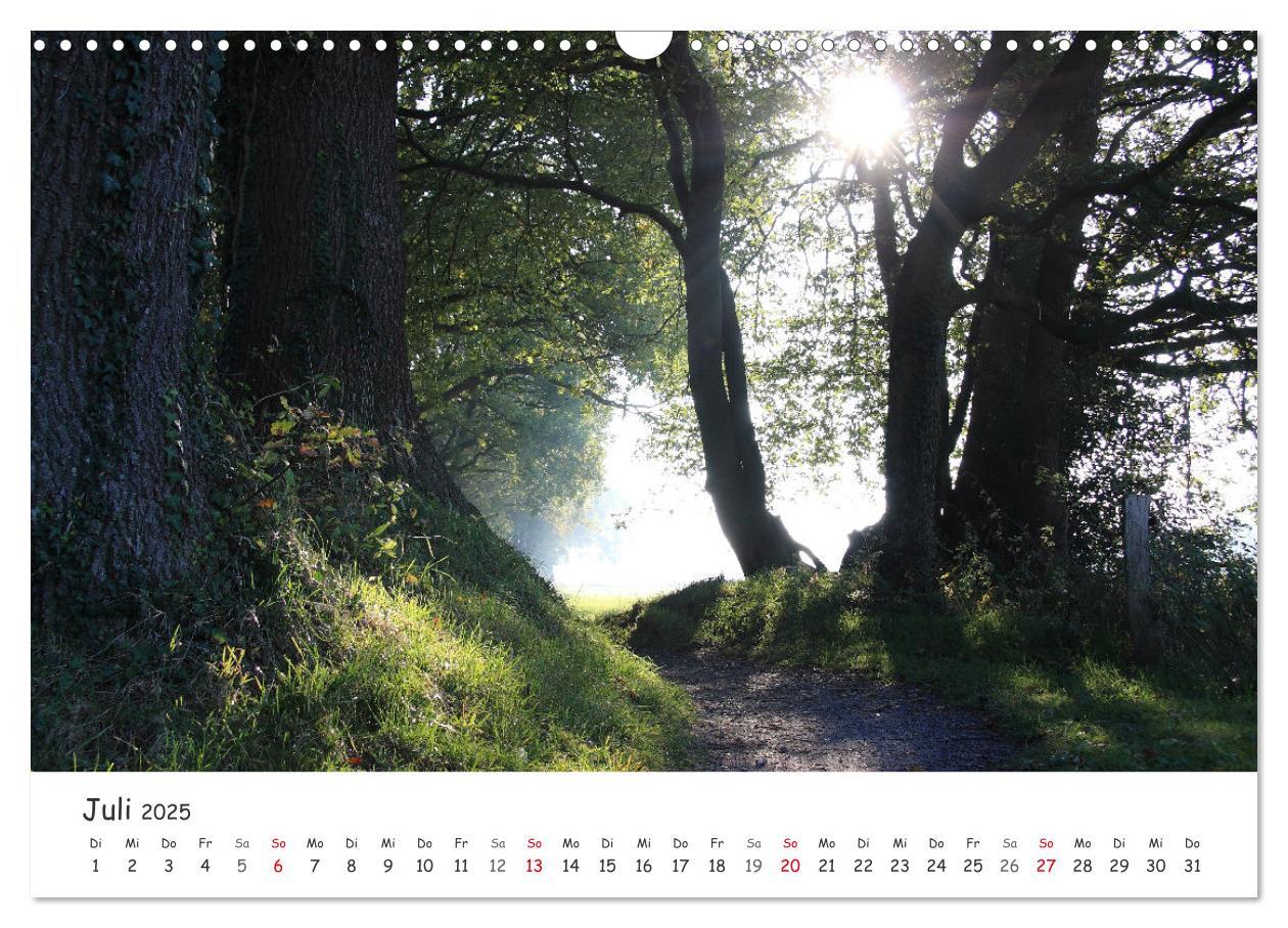 Bild: 9783435078431 | Zauberhaftes Ammerland (Wandkalender 2025 DIN A3 quer), CALVENDO...