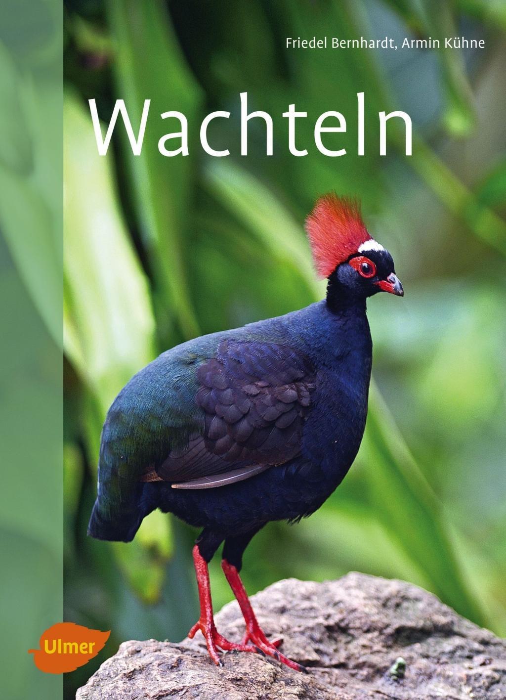 Cover: 9783800103171 | Wachteln | Friedel Bernhardt (u. a.) | Taschenbuch | Deutsch | 2016