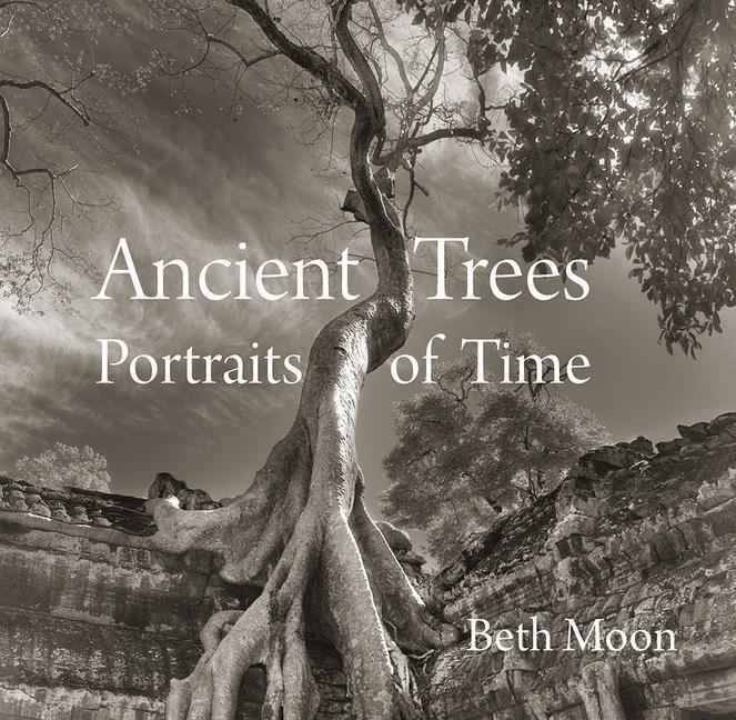 Cover: 9780789211958 | Ancient Trees | Portraits of Time | Beth Moon | Buch | Englisch | 2014