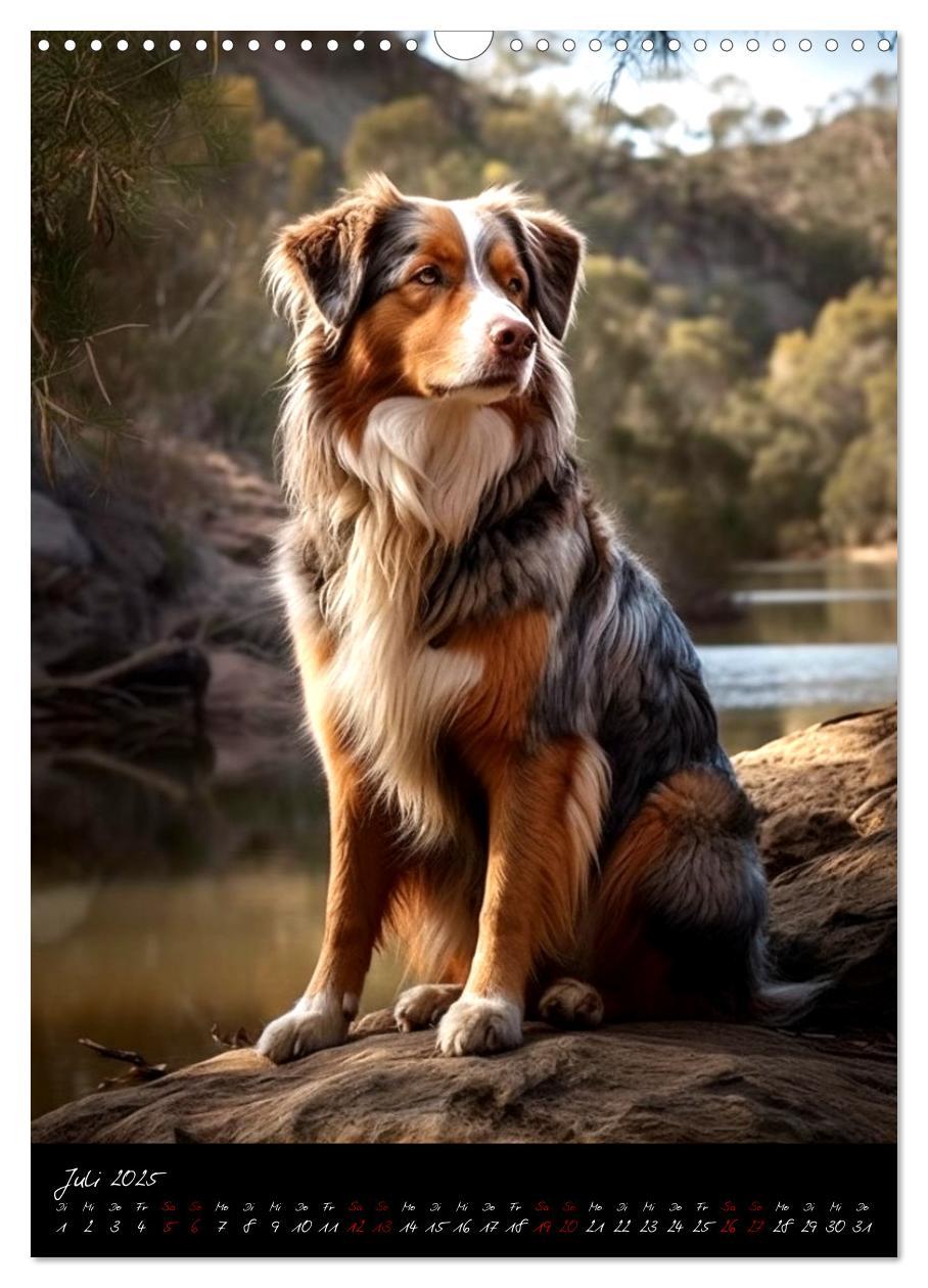 Bild: 9783435876648 | Australian Shepherd (Wandkalender 2025 DIN A3 hoch), CALVENDO...