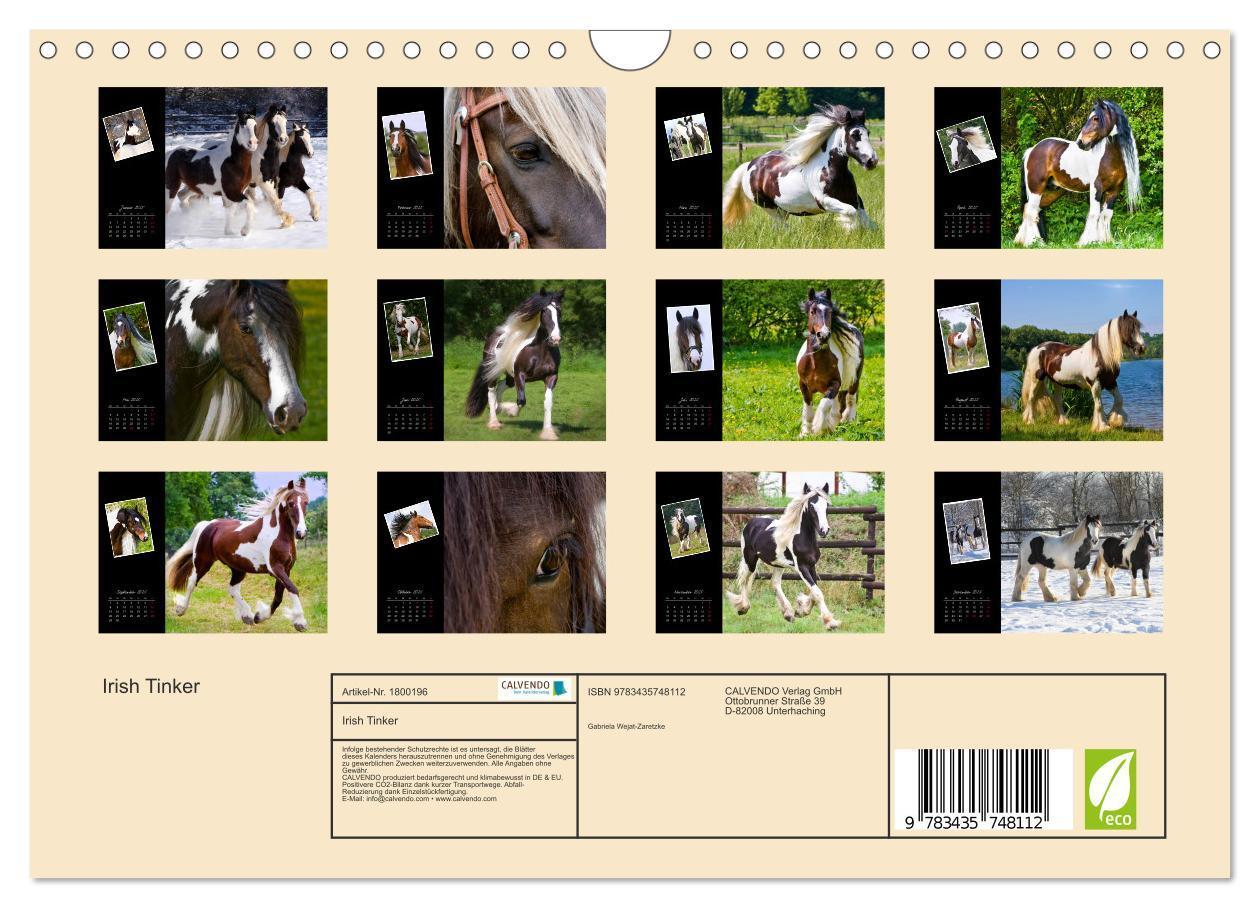 Bild: 9783435748112 | Irish Tinker (Wandkalender 2025 DIN A4 quer), CALVENDO Monatskalender