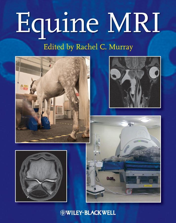 Cover: 9781405183048 | Equine MRI | Rachel C Murray | Buch | 608 S. | Englisch | 2011 | Wiley