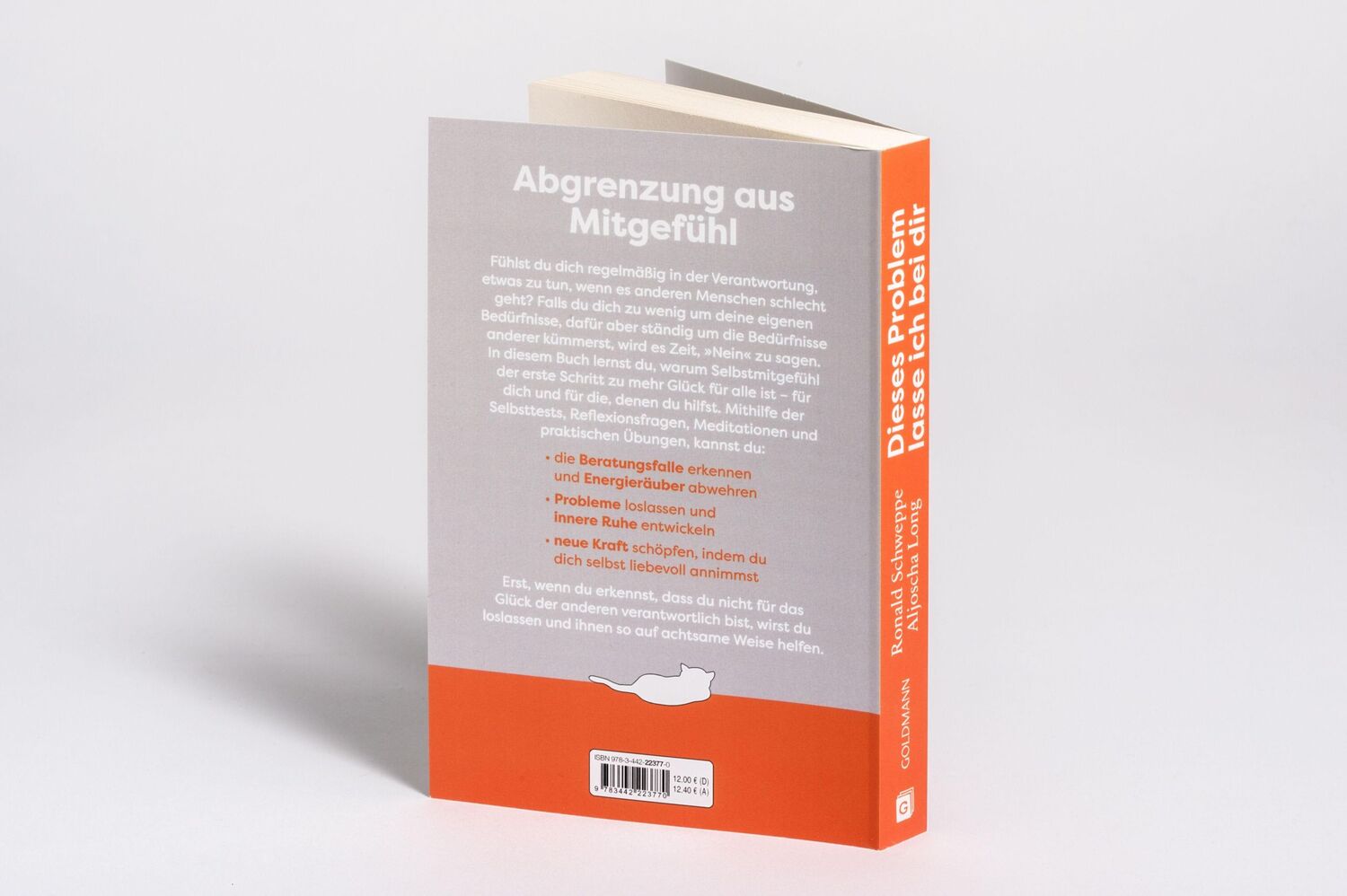 Bild: 9783442223770 | Dieses Problem lasse ich bei dir | Aljoscha Long (u. a.) | Taschenbuch