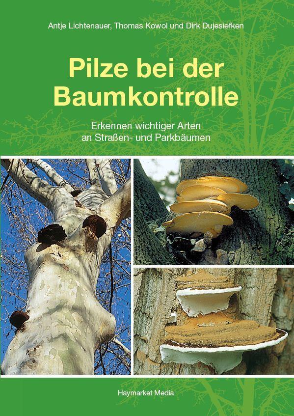Cover: 9783878151999 | Pilze bei der Baumkontrolle | Antje Lichtenauer (u. a.) | Taschenbuch