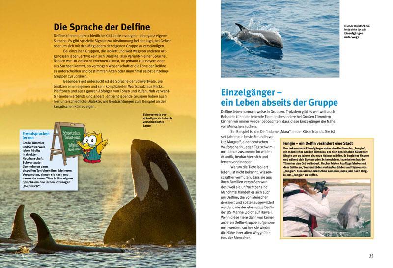 Bild: 9783866594111 | Entdecke die Delfine | Kim Cornelius Detloff | Buch | 64 S. | Deutsch