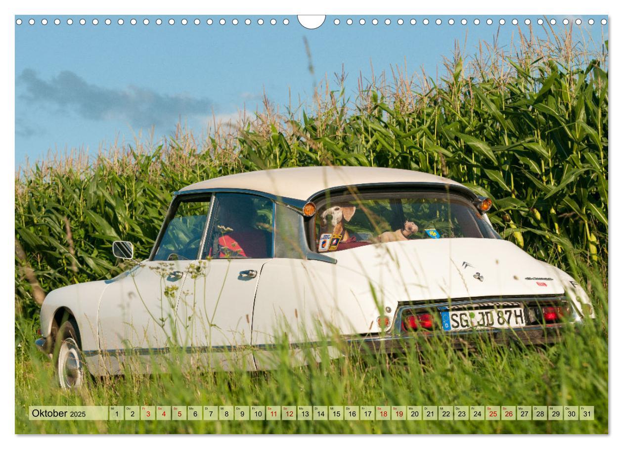 Bild: 9783435010752 | Französische Klassiker - 2CV und D Modell Oldtimer (Wandkalender...