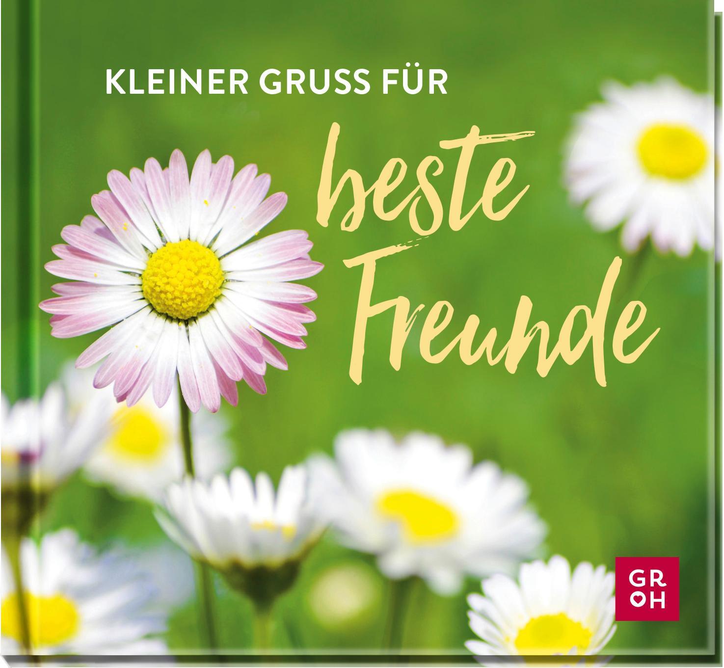 Cover: 9783848501526 | Kleiner Gruß für beste Freunde | Groh Verlag | Buch | 48 S. | Deutsch