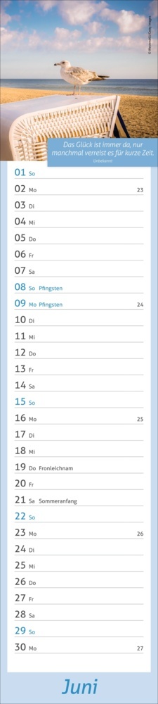 Bild: 9783756406715 | Tage voller Glück Langplaner 2025 | Kalender | Spiralbindung | 13 S.