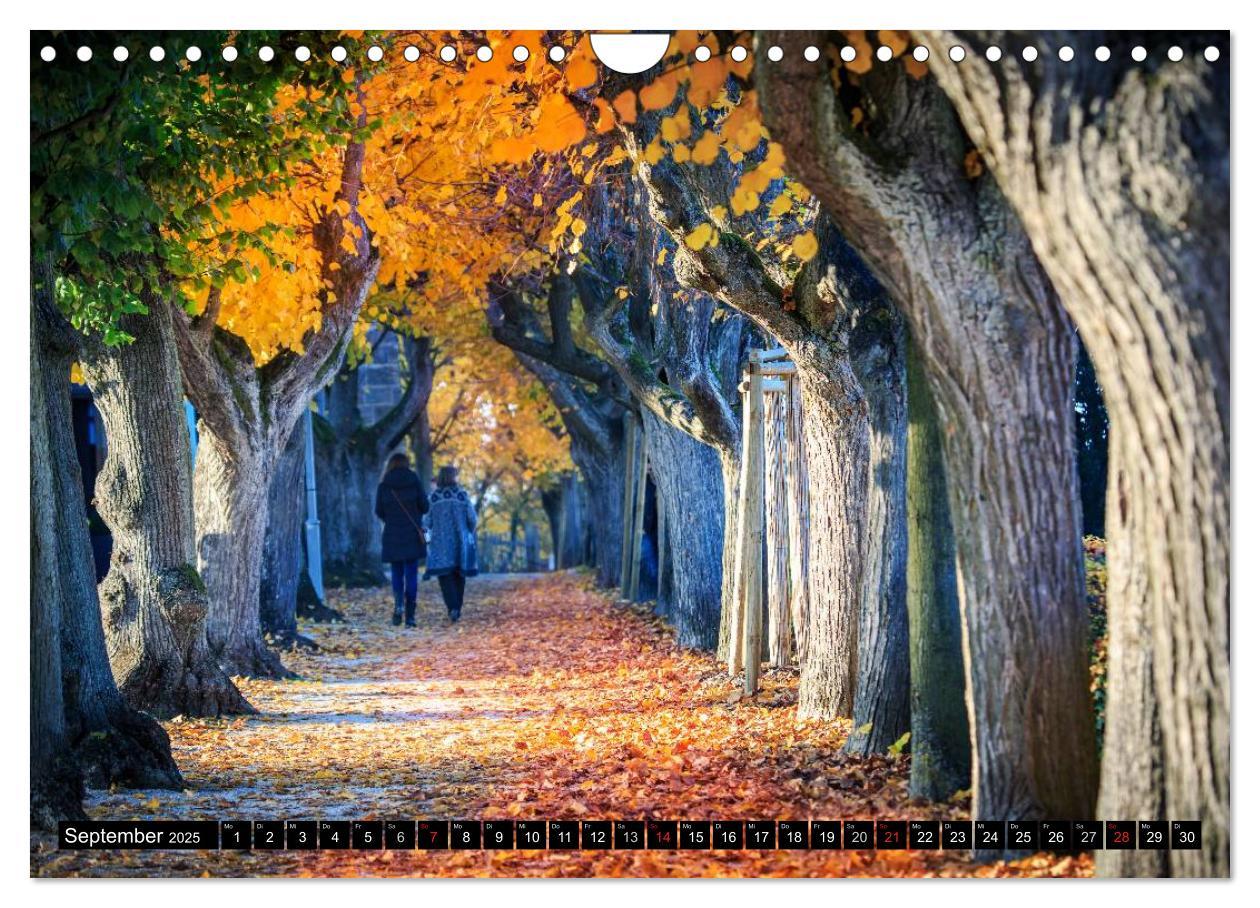 Bild: 9783435575701 | Bamberg - das fränkische Rom (Wandkalender 2025 DIN A4 quer),...