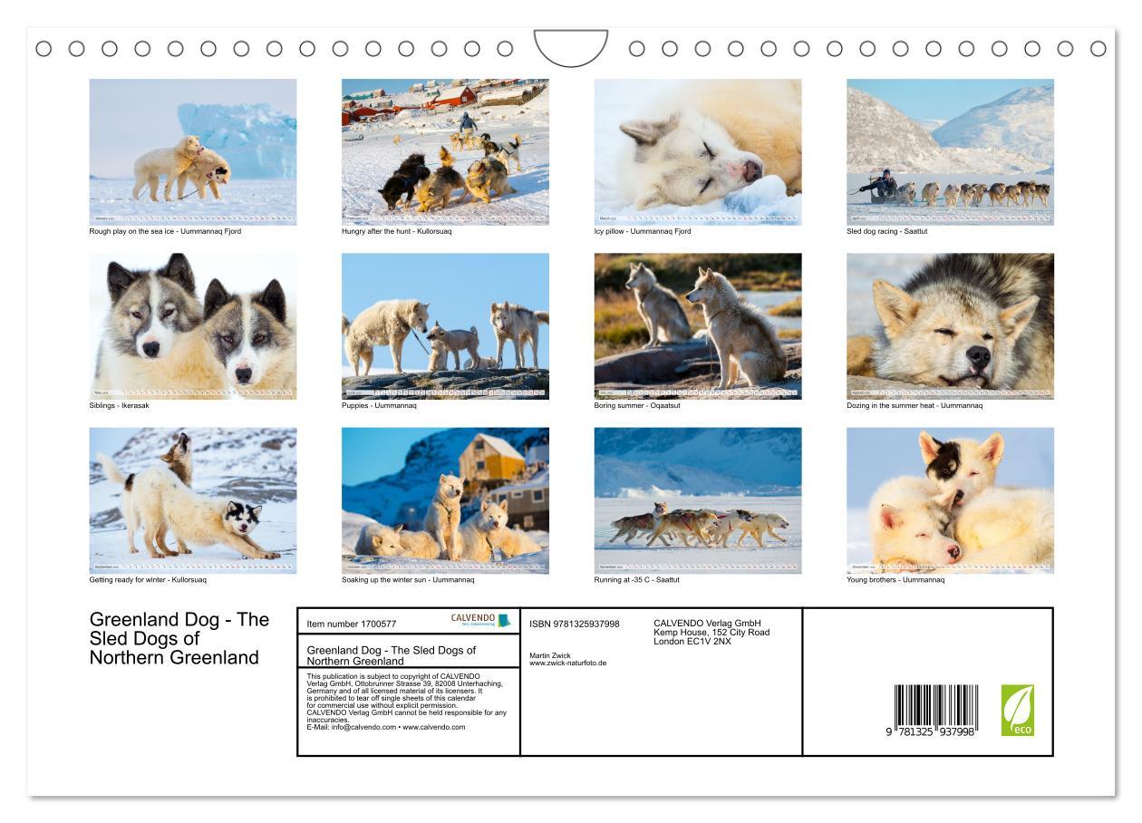 Bild: 9781325937998 | Greenland Dog - The Sled Dogs of Northern Greenland (Wall Calendar...