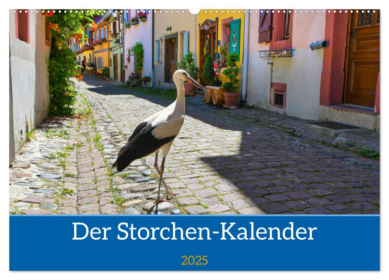 Cover: 9783435019366 | Der Storchenkalender (Wandkalender 2025 DIN A2 quer), CALVENDO...