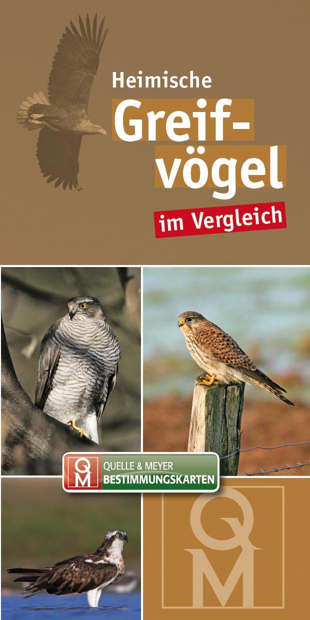 Cover: 9783494016122 | Bestimungskarten Heimische Greifvögel | (Land-)Karte | Deutsch | 2017