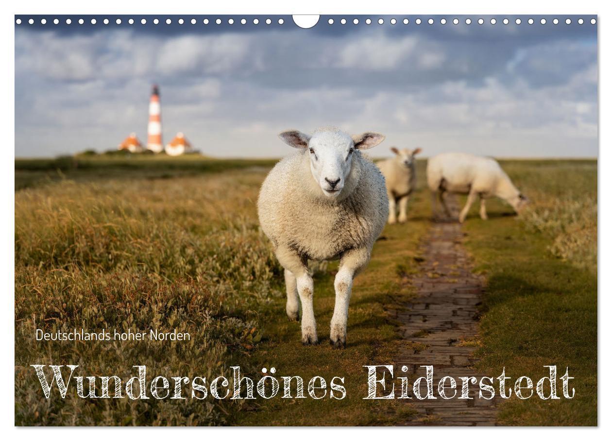 Cover: 9783383700200 | Wunderschönes Eiderstedt (Wandkalender 2024 DIN A3 quer), CALVENDO...