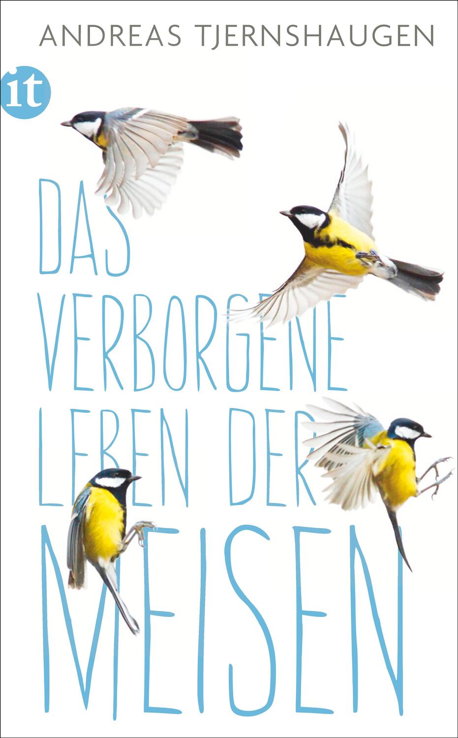 Cover: 9783458363941 | Das verborgene Leben der Meisen | Andreas Tjernshaugen | Taschenbuch