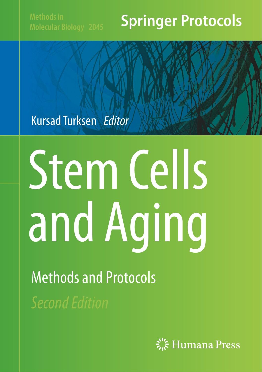 Cover: 9781493997121 | Stem Cells and Aging | Methods and Protocols | Kursad Turksen | Buch