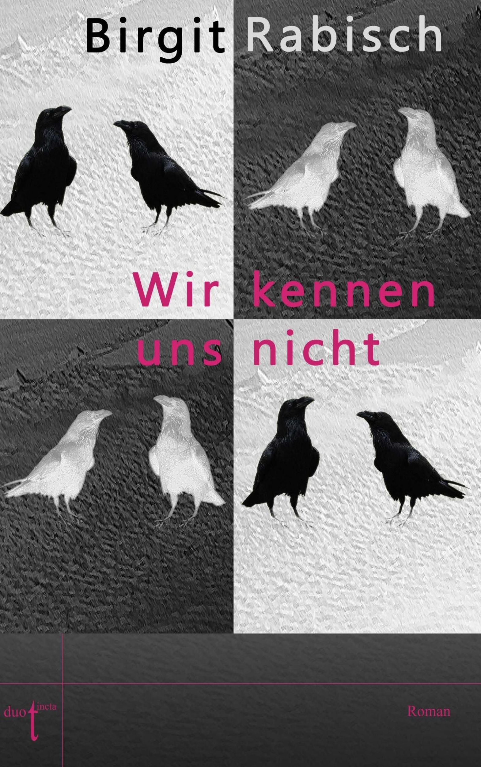 Cover: 9783946086222 | Wir kennen uns nicht | Birgit Rabisch | Taschenbuch | 206 S. | Deutsch