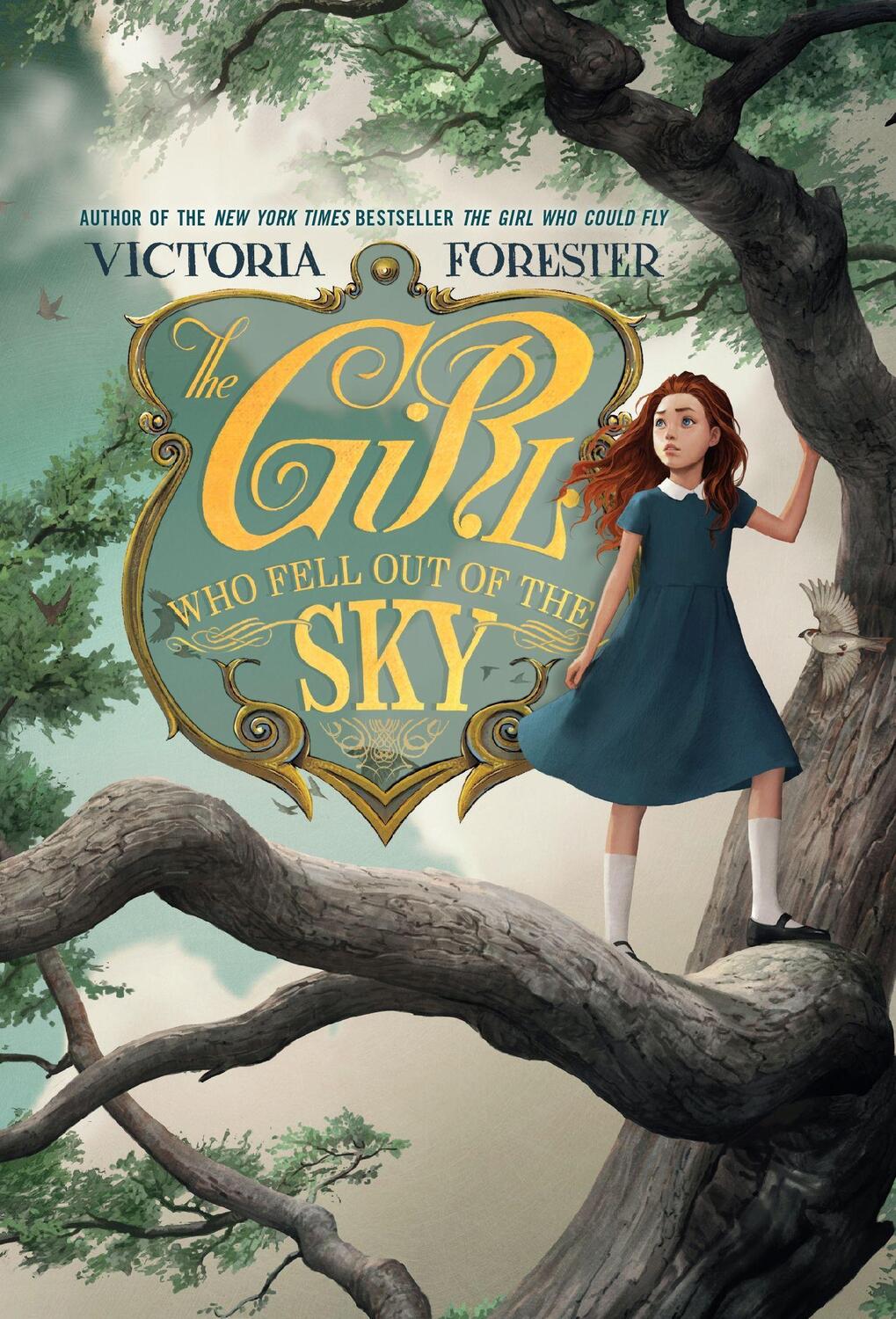 Cover: 9781250763211 | The Girl Who Fell Out of the Sky | Victoria Forester | Taschenbuch