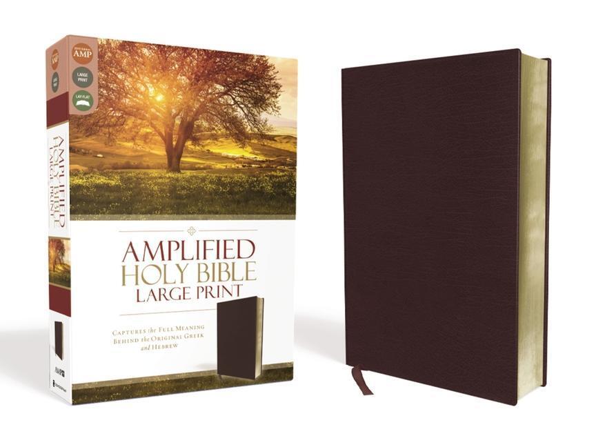 Cover: 9780310444053 | Amplified Holy Bible, Large Print, Bonded Leather, Burgundy | Buch