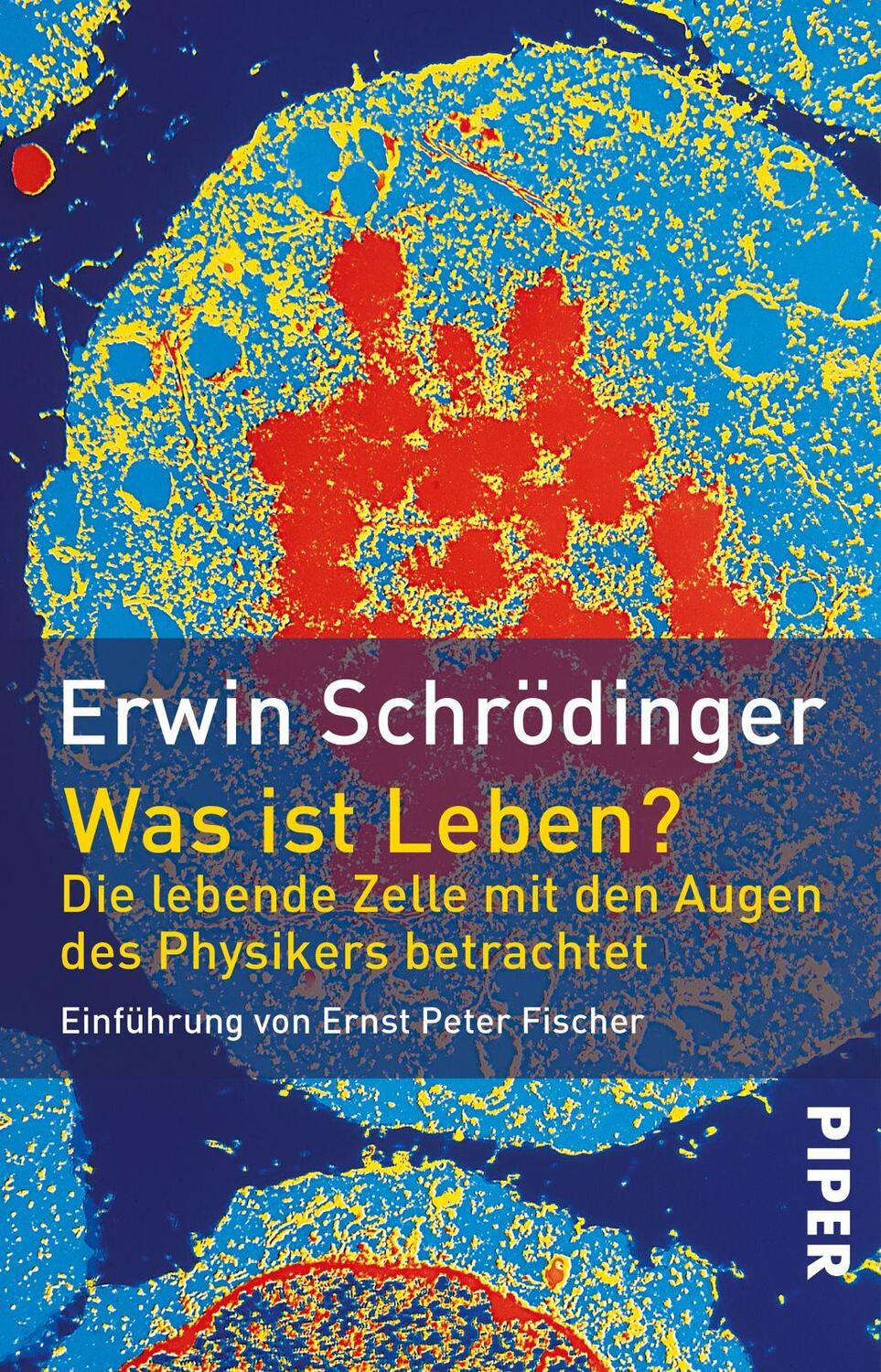 Cover: 9783492211345 | Was ist Leben? | Erwin Schrödinger | Taschenbuch | Deutsch | 2001
