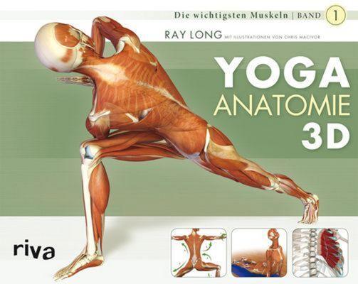 Cover: 9783868830927 | Yoga-Anatomie 3D | Band 1: Die wichtigsten Muskeln | Ray Long | Buch