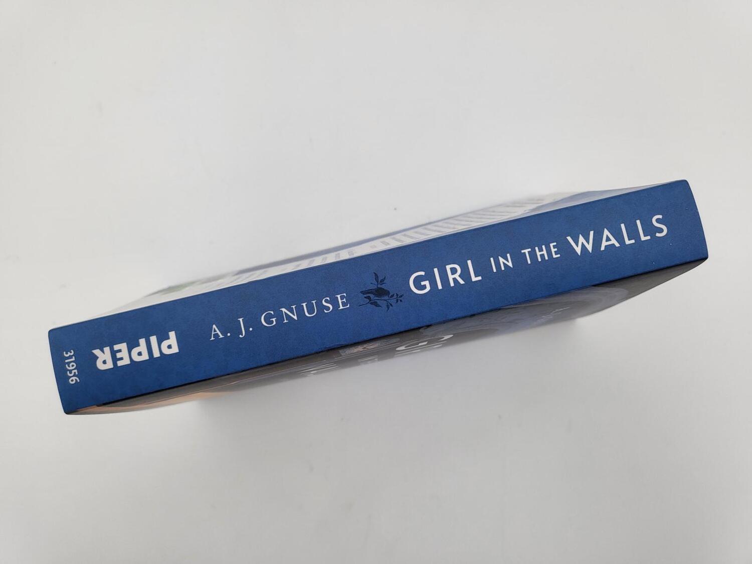 Bild: 9783492319560 | Girl in the Walls | Roman Jetzt im Taschenbuch | A. J. Gnuse | Buch