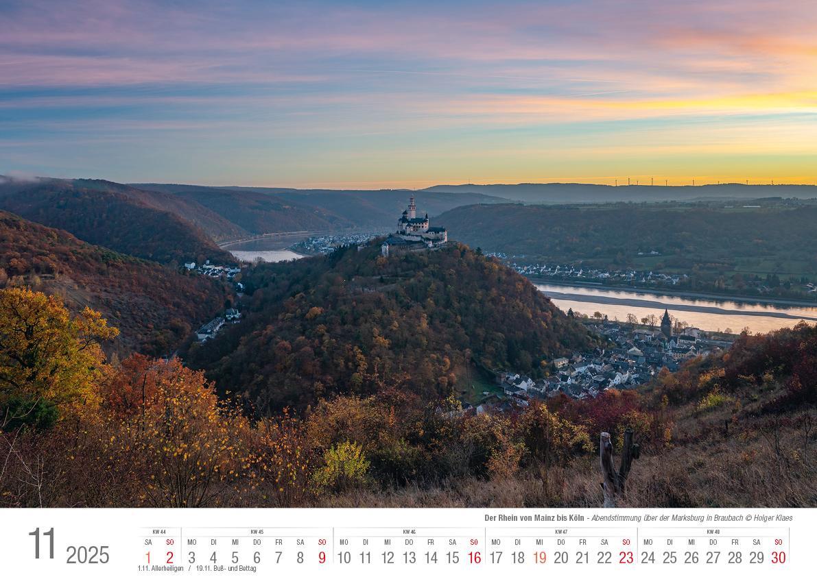 Bild: 9783965352162 | Der Rhein von Mainz bis Köln 2025 Bildkalender A3 Spiralbindung | 2025