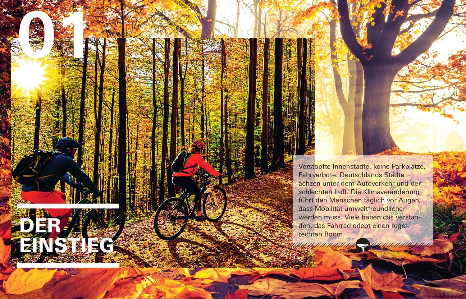 Bild: 9783747103159 | Handbuch Fahrrad und E-Bike | Michael Link | Buch | Deutsch | 2020