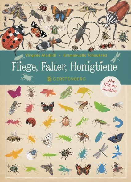 Cover: 9783836959117 | Fliege, Falter, Honigbiene | Die Welt der Insekten | Virginie Aladjidi